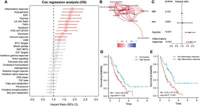 The Prognostic Value of Integrated Analysis of Inflammation and Hypoxia-Related Genes in Idiopathic Pulmonary Fibrosis